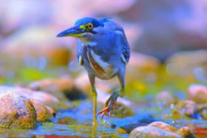 天海球员身体状况不佳，是否能赶上下一场比赛？