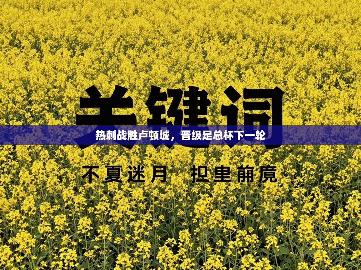 热刺战胜卢顿城，晋级足总杯下一轮